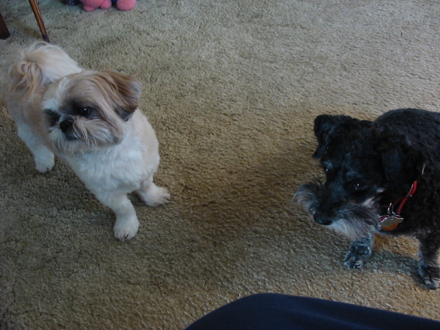 Something caught their attention at the door