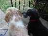 Max & Nicky outside