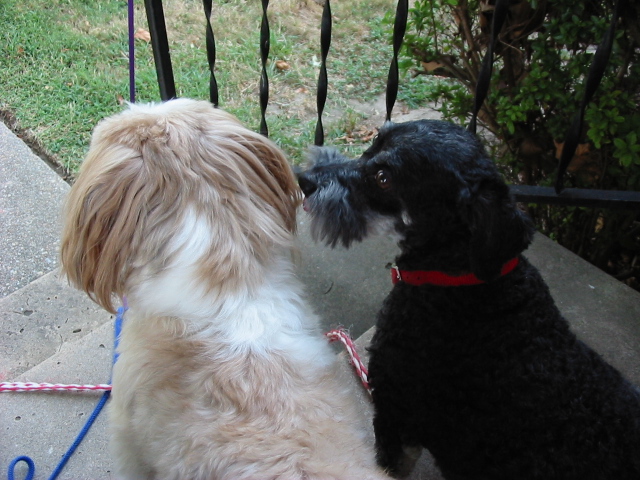 Max & Nicky outside