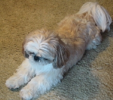 Nicky waiting for Max