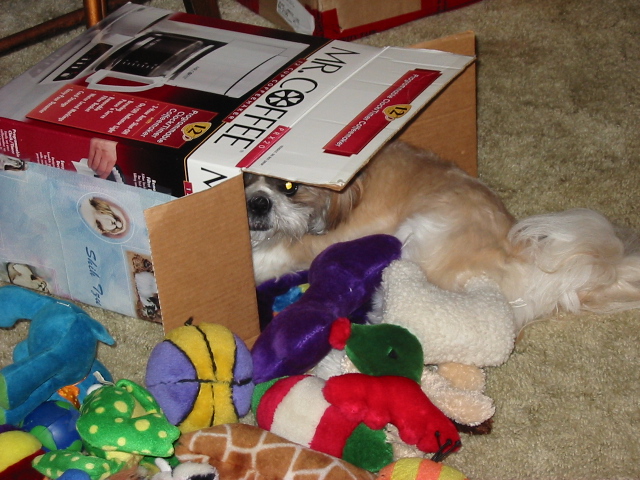 nicky's face in toybox