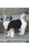 Sweater on properly-2