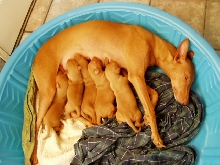 mom
