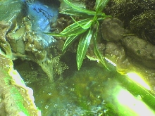 water fall