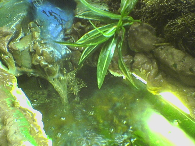 water fall