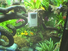 inside decor
