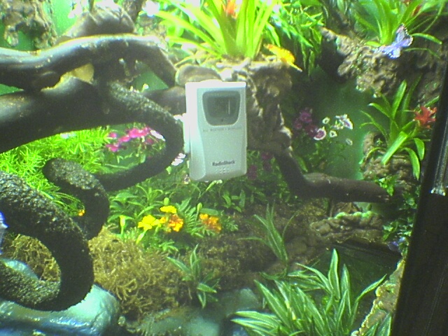 inside decor