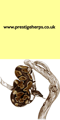 banner 3