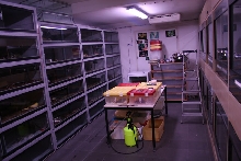 Snake facility