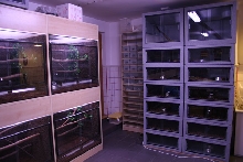 Snake Facility2