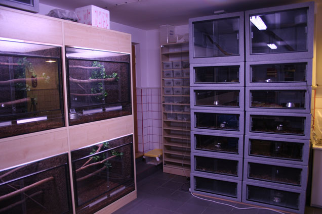 Snake Facility2