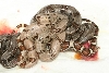 hypo