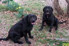 Cassie & Katie