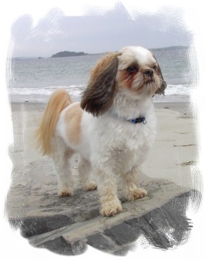 Beinn on Beach