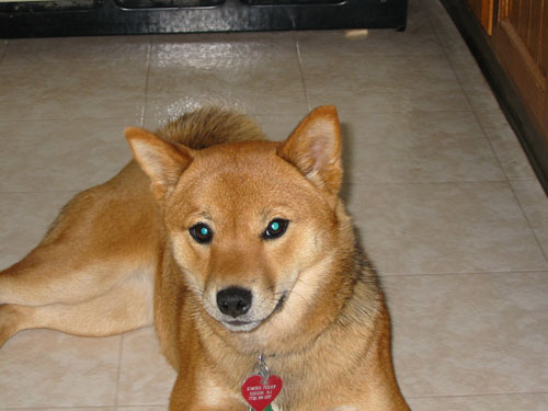 Kimiko at 9 months