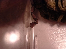 pic #3