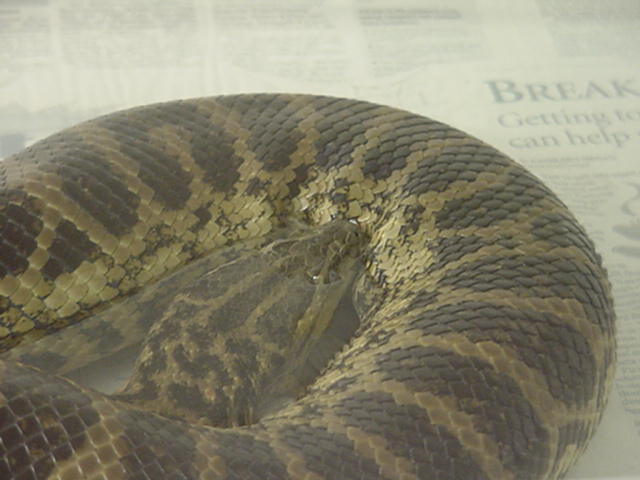 Closer view