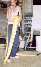 Me and Cheddar