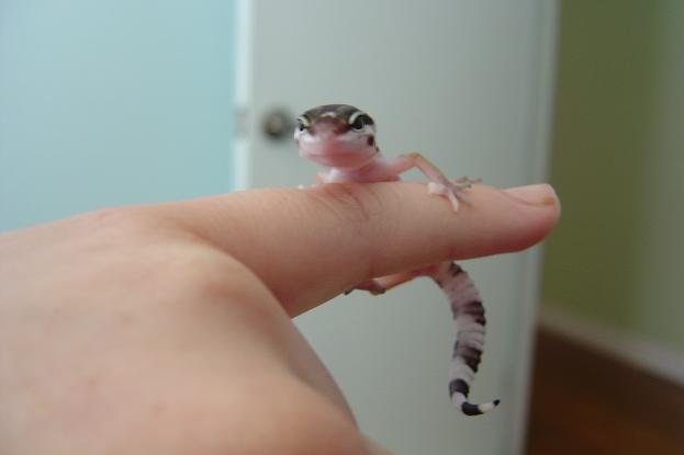 smile for the camera
