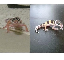 Before and After