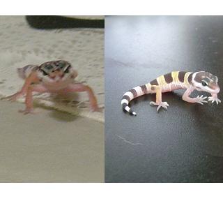 Before and After