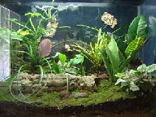 Latest Project