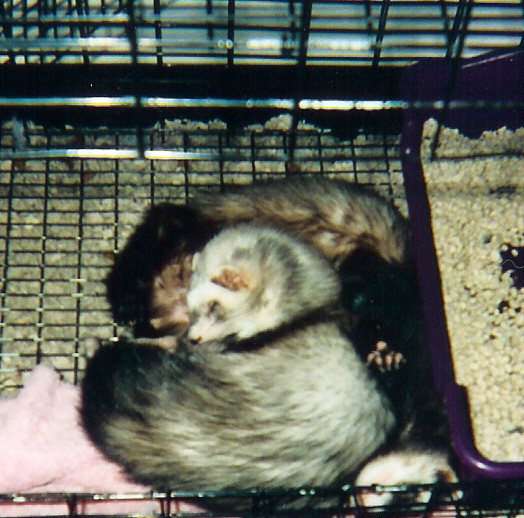 Nap Time