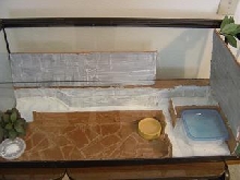 my new tank