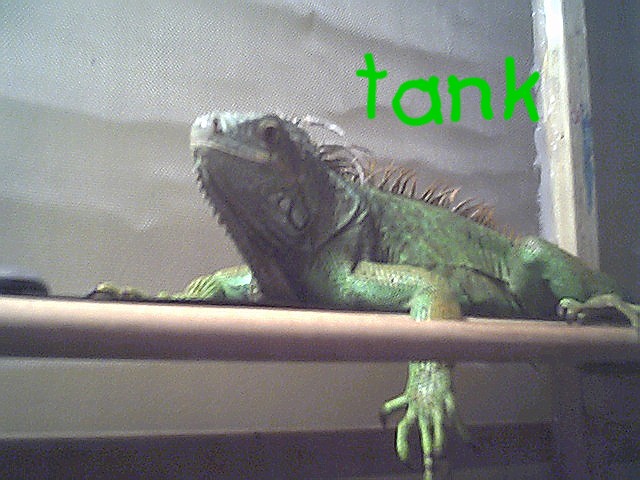 tank 2