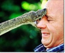 Python Facial