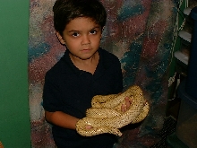 Jakob and big hypo male Brooksi