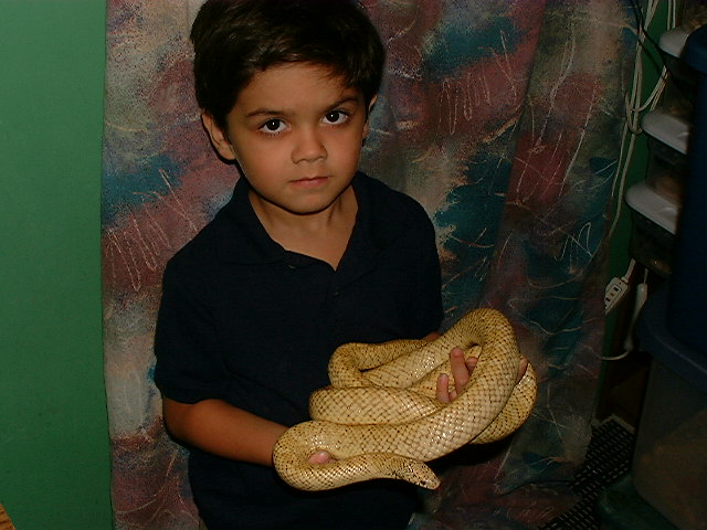 Jakob and big hypo male Brooksi