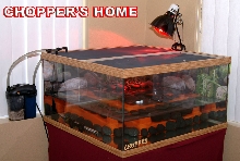 CHOPPER'S Palace