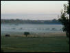 Autumn Morning