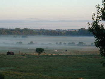 Autumn Morning