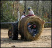 Fun on the Farm