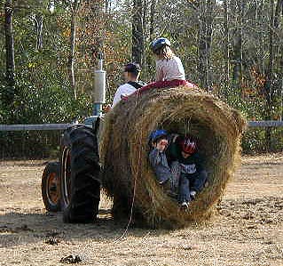 Fun on the Farm