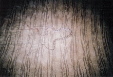 Ghost Corn Snake