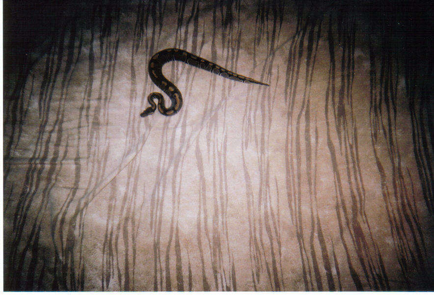 Smaller Ball Python