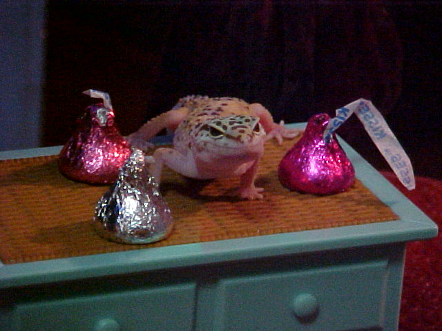 Hershey Kisses