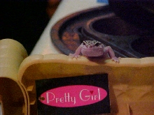 Being Pretty