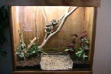 Carpet Enclosure01