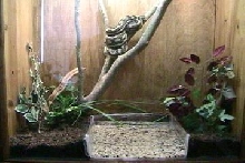 Carpet Enclosure03