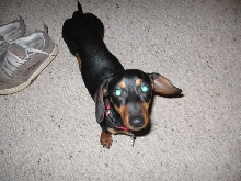 My Sophie