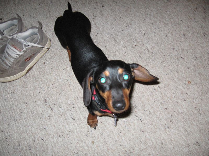 My Sophie