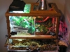 My "perfect Cage"