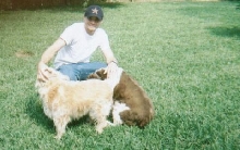 dogs