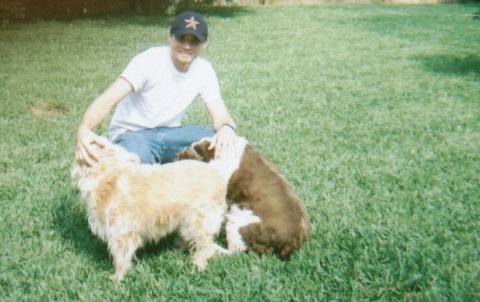 dogs
