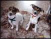Jack and Jill