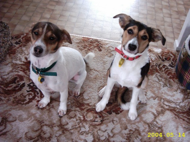 Jack and Jill